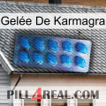 Gelée De Karmagra viagra1